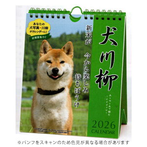 yizA[gvgWp 2026NŃJ_[  T߂ A.P.J. 1000136871