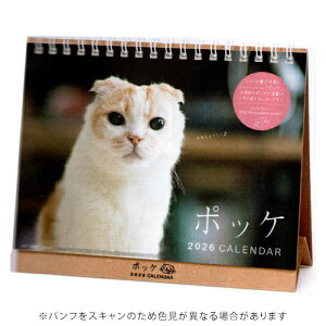 yizA[gvgWp 2026NŃJ_[ |bP  L A.P.J. 1000136887