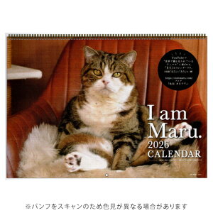 yizA[gvgWp 2026NŃJ_[ ܂邿 L A.P.J. 1000136888