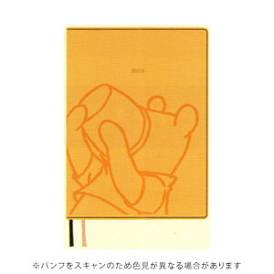 yiz_CS[ 2026NŎ蒠 fBYj[_CA[ B6 1T+ ܂̃v[ Disney CG[ DAIGO E6209