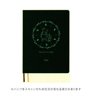 yiz_CS[ 2026NŎ蒠 fBYj[_CA[ B6 1T+ ܂̃v[ Disney O[ DAIGO E6211