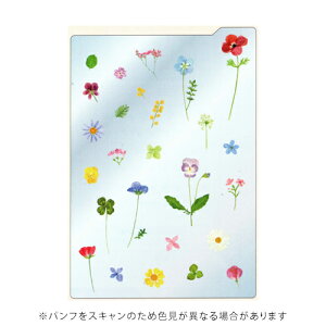 yiz 蒠p A5 ؉ K[f CfbNXt RYU-RYU SJ2604