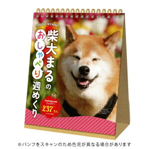 yizV{J_[ 2026NJ_[ Č܂ׂ̂T߂ 4600