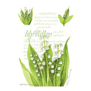 yizEB[ubNtbVZcL [IuUo[  TVF PF18NLV E3ȏwŃ[֑B2ȉw̏ꍇA[֑t