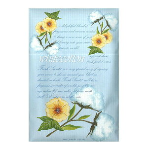 yizEB[ubNtbVZcL zCgRbg  TVF PF18WC E3ȏwŃ[֑B2ȉw̏ꍇA[֑t