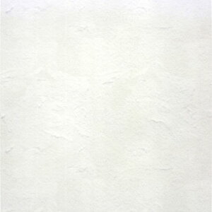 yizJH mt casa fleece  (460mm×3m) t[X \Ĕǎ MTCAF4609