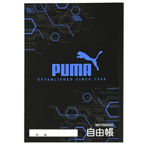 yizNcm[g R PUMA v[} KUTSUWA PM465