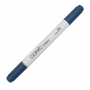 yizToo gD[ RsbN`I Agate AQ[g COPIC B99