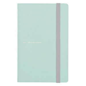 yiz}} A6 W[im[g j[Vl 5mmhbg ~gO[ maruman N868-53