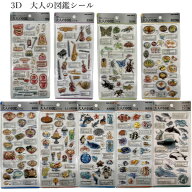 3D 大人の図鑑シール ぷっくり シール カミオジャパン 歯 楽器 昆虫 卵料理 麺類 レトロ喫茶 イルカ・ク…
