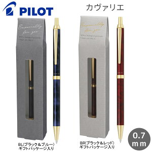 J@G  {[y 2023 Mtg pCbg ML [  v[g 蕨 P[X BCAN7GS23