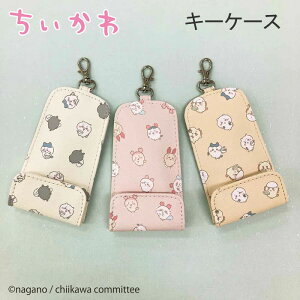  [t L[P[X AfB hZ w q ̎q 킢 lC   L[ CHI4-6