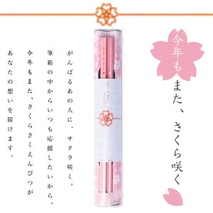 炳҂ 2{  `  iF M ҂ sN 3902 TX^[ wj j lC  v[g 蕨 S5020573 y10܂Ń[1z