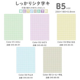 しっかりシタ字キ B5 筆圧サポート下敷 共栄プラスチック したじき ソフトタイプ なめらかタッチ 学童 授業用 SHS-B5