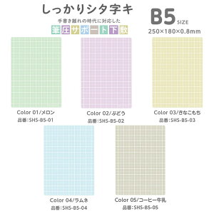 ��������V�^���L B5 �M���T�|�[�g���~ ���h�v���X�`�b�N �������� �\�t�g�^�C�v �Ȃ߂炩�^�b�` �w�� ���Ɨp SHS-B5