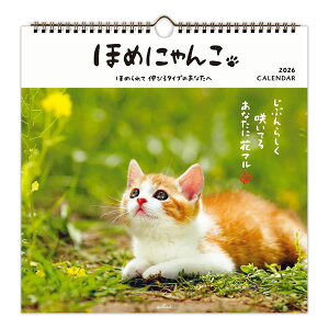 2026Nx OJ_[  ق߂ɂ z[}[N Ƒ \ XP[W[ Ǘ s lC ˂ L lR 845308