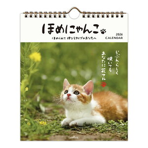 2026Nx OJ_[  ق߂ɂ z[}[N Ƒ \ XP[W[ Ǘ s lC ˂ L lR 845407