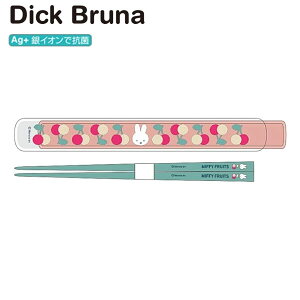 ~btB[ P[X 180mm `F[ Dick Bruna 3231 XNGA ٓ ` ͂  w ۈ牀 ct wZ ̎q