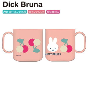 ~btB[ Jbv `F[ Dick Bruna 3255 XNGA Rbv Jbv vRbv t ` wZ ۈ牀 ct R {