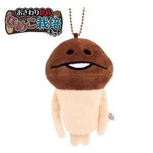 TȂ߂͔|Lbg ʂ }XRbg 0522 eB[Yt@Ng[ Ȃ߂ Ԃ炳 L[z_[ NS-5546909NM