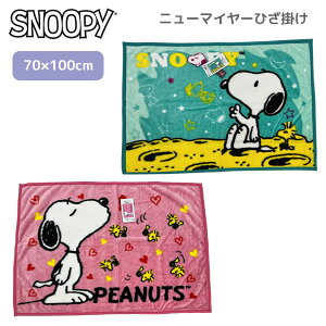 Xk[s[ j[}C[ Ђ| 70×100cm ^I G| uPbg ѕz Q g h΍ 킢 v[g Mtg