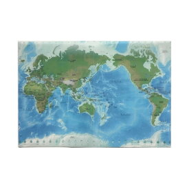 世界地図 クリアファイル 地勢メルカトル 3322 P 東京カートグラフィック CFEM