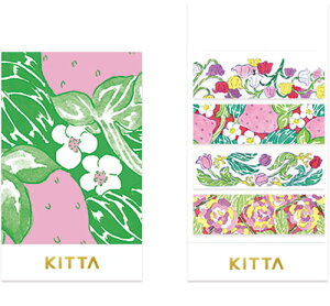 q KITTA Basic }XLOe[v VNuc 6774 P LOW 킢 IV ֗ fR[V bsO  KIT064