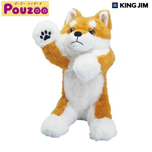 |[Y[y|[` Pouzoo VoCk 0990 LOW 킢 y|[` ʂ݃|[` X}zX^h |[WO q Z w PZ2026