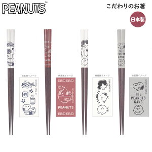 スヌーピー SNOOPY こだわりのお箸 カミオジャパン 角形 はし つかみやすい 麺 かわいい 箸 食卓 222478 222481