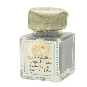 KXy CN ri[g {gCN 255 t 30ml Vo[inX̍j255_011 ~Mtg NX}X