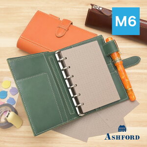 AVtH[h VXe蒠 OtbNX MINI6 13mm S2F MINI6 13mm ASHFORD ~j6 M6 U[ {v xgזɂȂȂVXe蒠