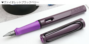  ~[ 2024N NM Tt@ LAMY v[g j  a hV̓