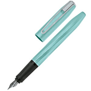 IC ONLINE  NM X[v ANA} 260 ~Mtg