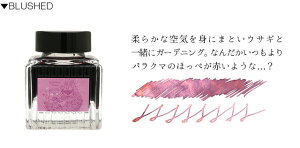  CN paraglass pOX pN}CN 30ml CN y KXy SRTOLL IN THE AIR CHEERS BLUSHED v[g j  a lC ސEj ~Mtg