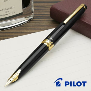  NM pCbg NM G[g95S FES-1MM-B ubN PILOT v[g j  a hV̓