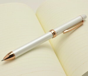 pCbg ML X[vX bW p[zCg/sNS[h }`y{ PILOT  v[g j  a ~Mtg NX}X