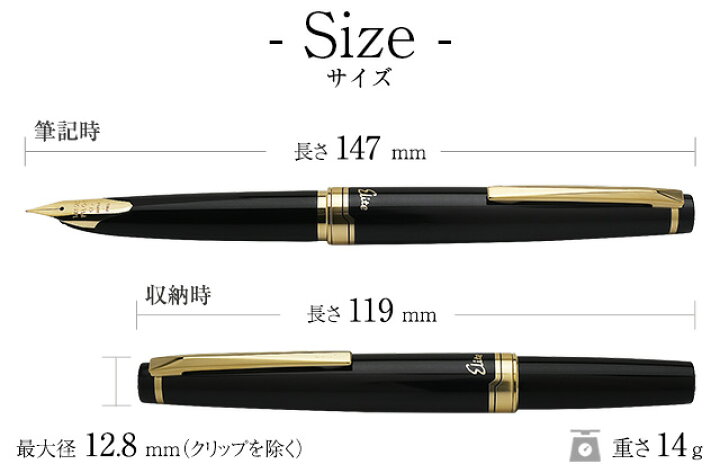 楽天市場】即日発送 パイロット 万年筆 エリート95S FES-1MM-B 