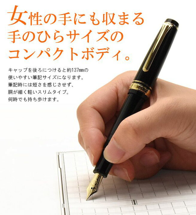 楽天市場】名入れ 万年筆 セーラー万年筆 SAILOR プロフェッショナル 