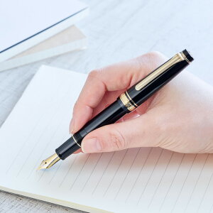 �Z�[���[���N�M ���N�M �v���t�F�b�V���i���M�A�X�����~�j21 SAILOR ���� �v���[���g PROFESSIONAL GEAR SLIM MINI �v���M�A�X�����~�j ���y�� 21���y���� ���^ �蒠�ɂ������� �g�т��₷�� �j�� ���� 