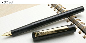 ViC_[ NM 406 S[h Schneider  hV̓