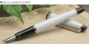 名入れ 万年筆 ウォーターマン 万年筆 18K エキスパート エッセンシャル(50000)WATERMAN 万年筆プレゼント 男性 女性 誕生日 人気 退職祝い ウォーターマン万年筆 冬ギフト