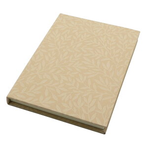 EBAEX B6TCY fUCr WMK3 X^fCgx[W ~Mtg