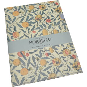 EBAEX A4NAt@C MCF-02 t[c NAz_[ A4 NAt@C ~Mtg