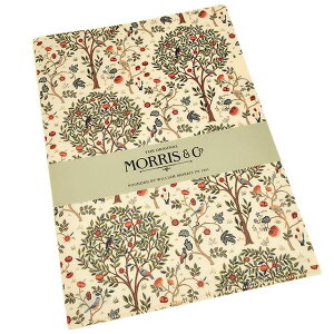 EBAEX A4 NAt@C MCF-05 PXRbgc[  ~Mtg NX}X