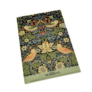 EBAEX A5 NAt@C MCFS-01 D_  ~Mtg NX}X