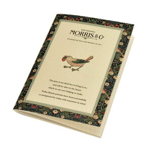 EBAEX A6TCY 5mm MNP-01 D_ A6 m[g  ~Mtg NX}X