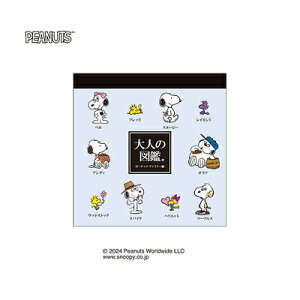 XNGA  l̐}ӃACeRNV Xk[s[ t@~[ 224241 J~IWp kamiojapan