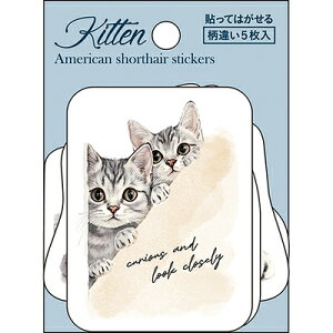 V[ XebJ[ Zbg L ˂ AV AJV[gwA \Ă͂ _CJbg 5 t511012 pCubN PINEBOOK