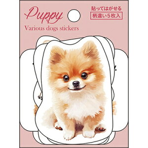 V[ XebJ[ Zbg  ʃ~bNX \Ă͂ _CJbg 5 t511014 pCubN PINEBOOK