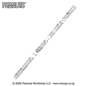 M 2B }bg Xk[s[ ݂ȂŏW PEANUTS 306691 J~IWp kamiojapan